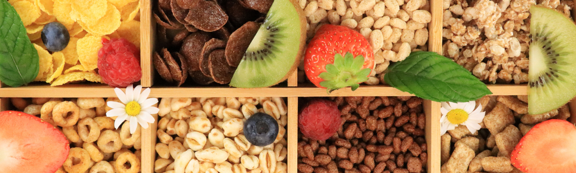 Cerealps GmbH Cover