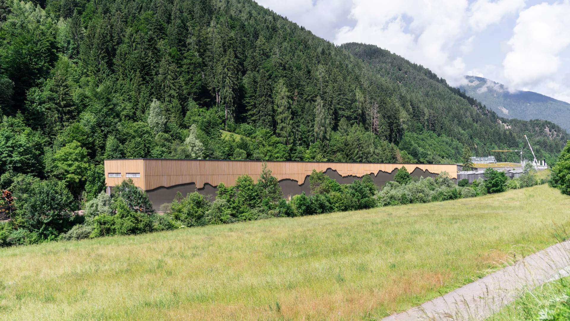 X TIMBER AG