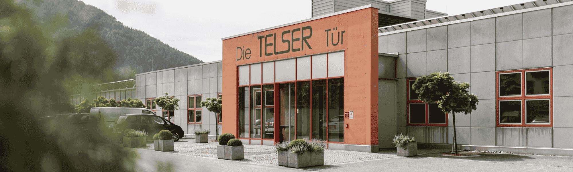 Türen Telser OHG Cover