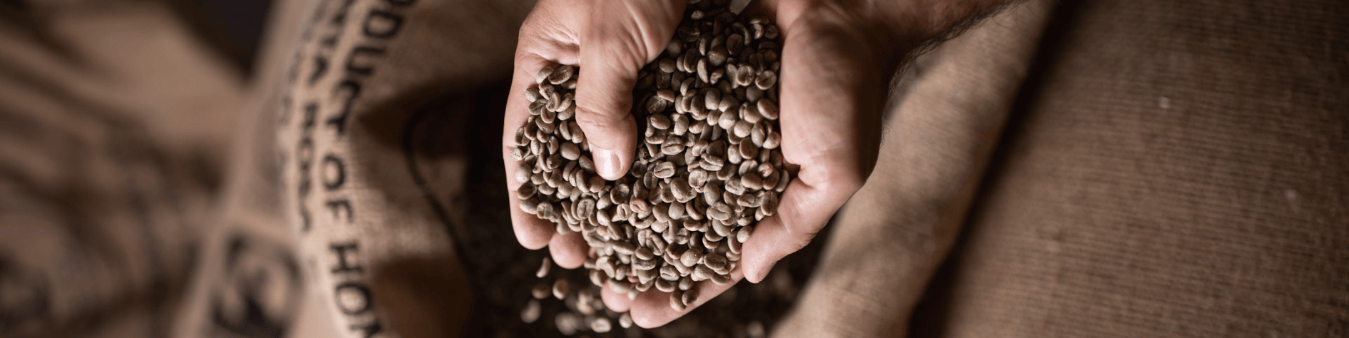 Alps Coffee GmbH Cover